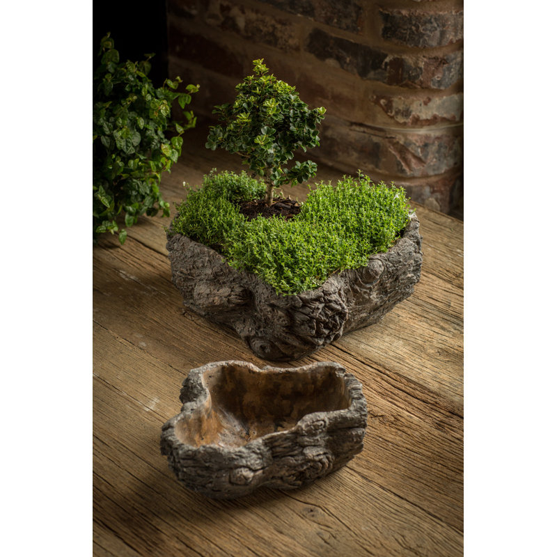 Cahoon Statue Planter, 3.5" H x 8.63" W x 6.38" D