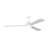 Ceiling Fan with LED Lights-220343686-211481074