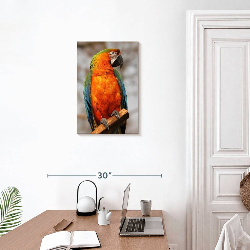 Brampt Catalina Macaw, 24" H x 16" W