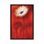 «Anemone I», reproduction sur toile-28624673-72416202-72416203
