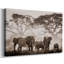 Parc national Amboseli, toile tendue avec châssis-159796283