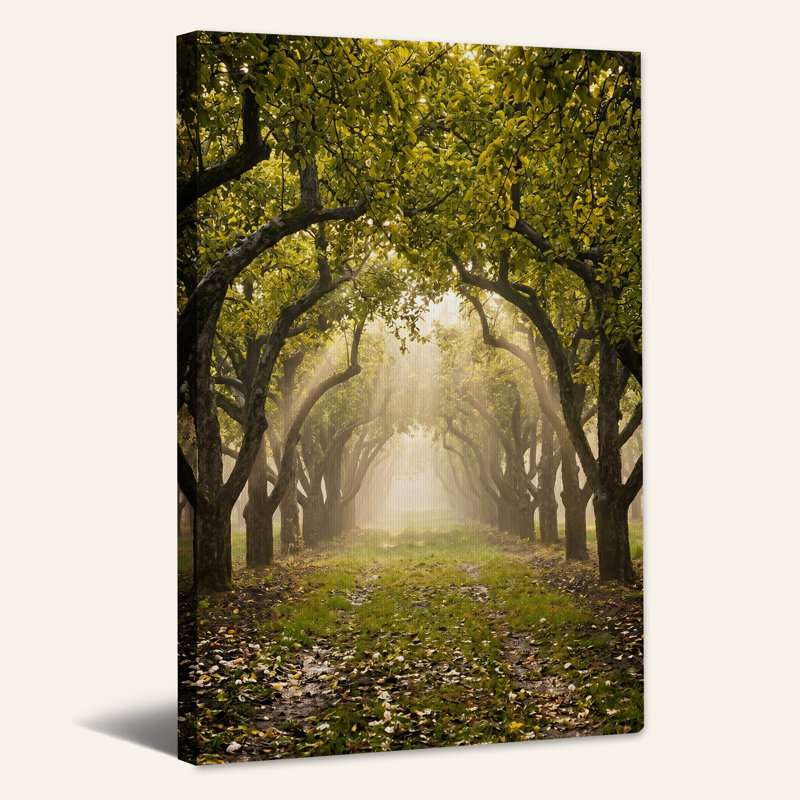Art mural sur toile Sunlit, H 30 po x l 20 po