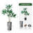 66'' Faux Dracaena Tree in Planter-97700194