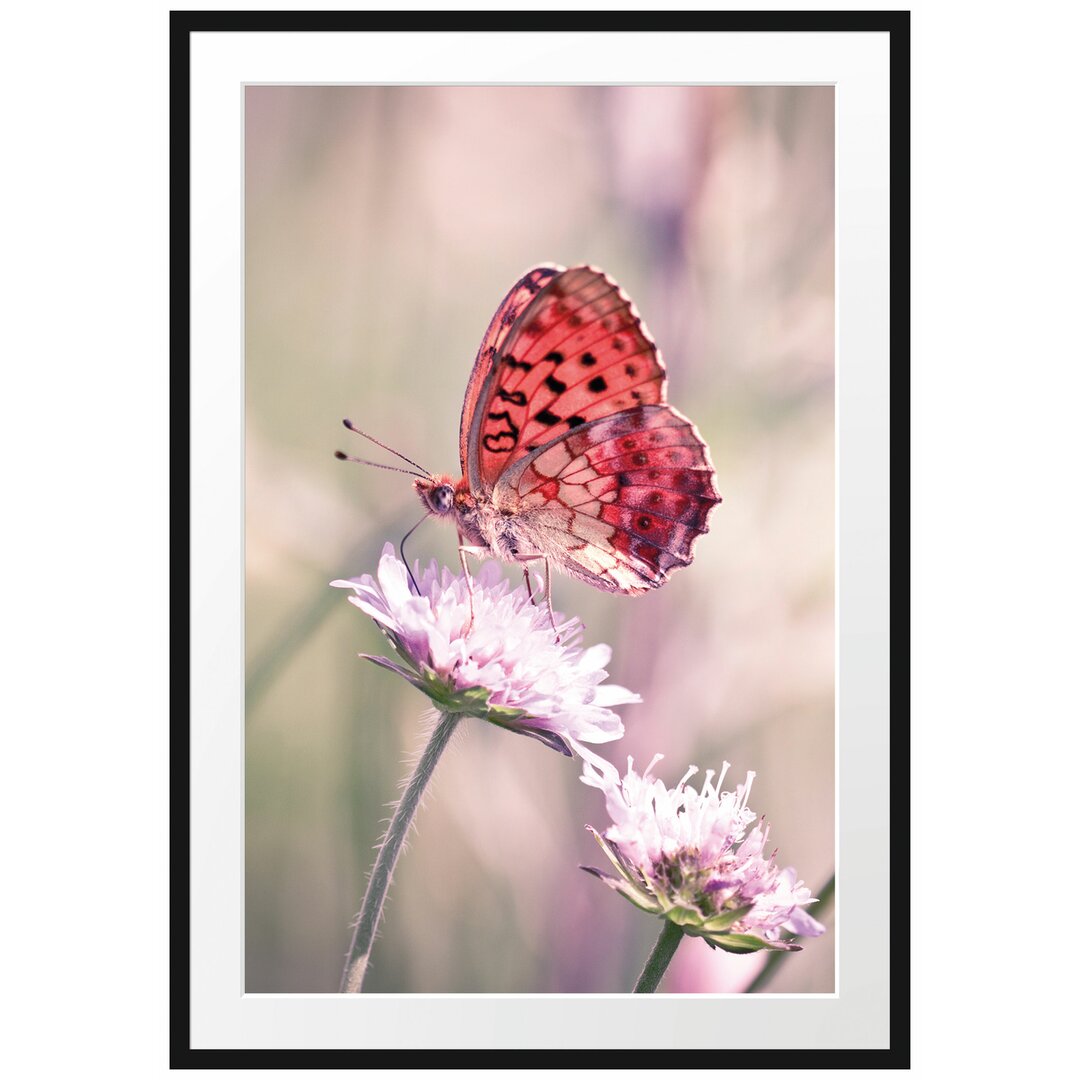 Gerahmtes Poster Bezaubernder Schmetterling