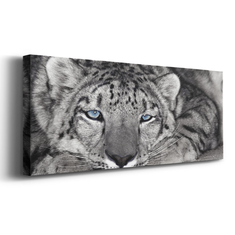 Snow Leopard Sanctuary - Photographie sur toile tendue, H 8 po x l 20 po x P 1,5 po