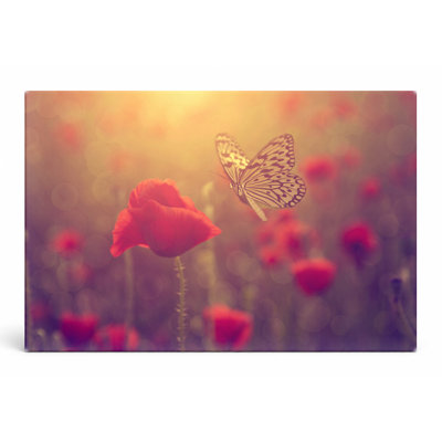 «Butterfly Over Poppy Field», art mural sur toile