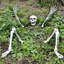 Halloween Decoration