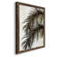 Palmier II - cadre photo, impression sur toile-61317202-61317209