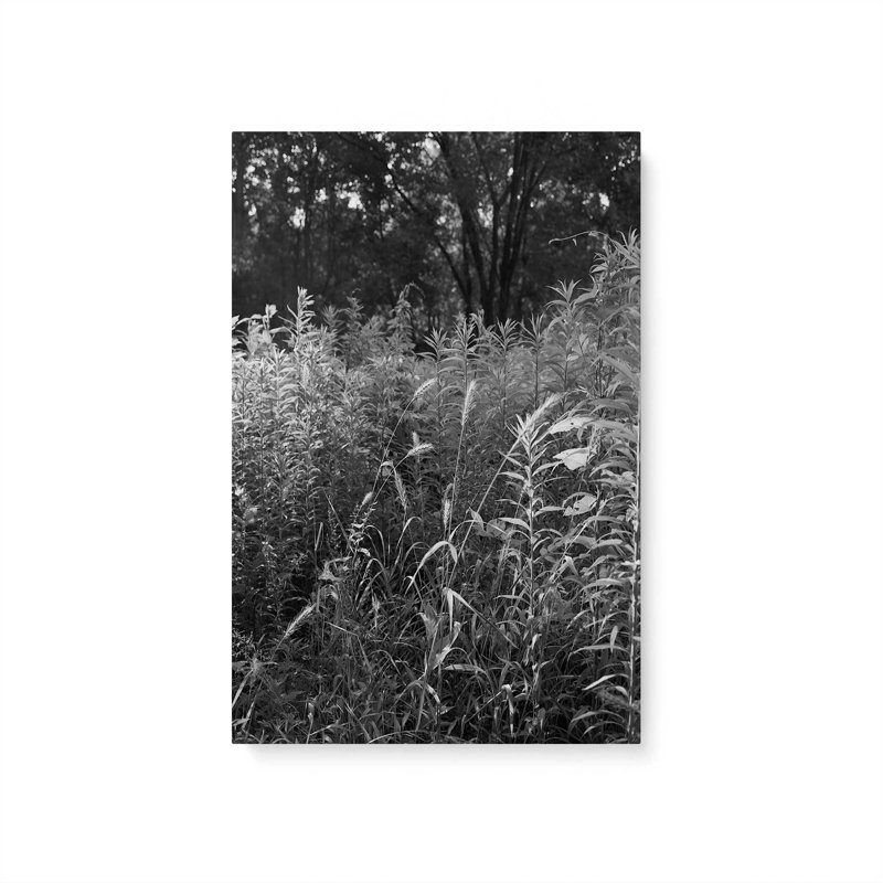 «Wetlands» par Tony Smith, reproduction d'art sur toile, H 18 po x l 12 po