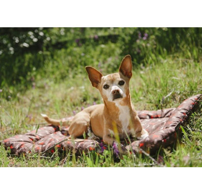 Scout & About Polyester Pet Bed