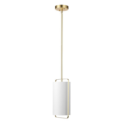 Luminaire suspendu cylindrique simple à 1 lumière