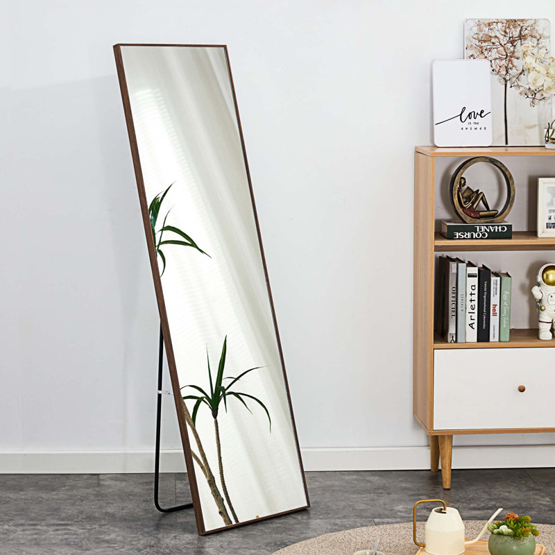 Miroir de plancher rectangulaire, 63 po x 19 po, Brun