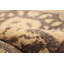 Tapis en laine beige/brun 9 pi 10 po x 12 pi 4 po one-of-kind à la main-noué la 2010 ushak Styrman