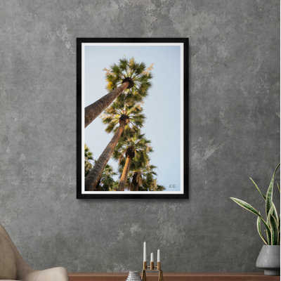 National Garden Palms II par Tim Klein - Photographie avec cadre