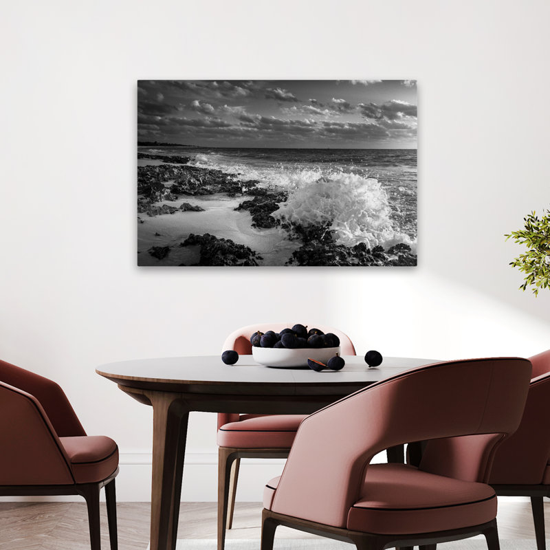 Bord de mer rampant - coquillages côtiers et corail, photographie d'art marin noir et blanc, H 24 po x l 36 po