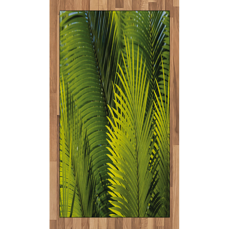 Nature High Density Long Fiber Poly Threads Decorative Area Rug Carpet, Rectangle 2'7" x 5'