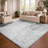 Premium Machine Washable Dream Shag ADS545 Circles Rug-231076803-231076804