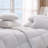 Cuddledown Sateen Down Alternative Comforter-120690910-116385981