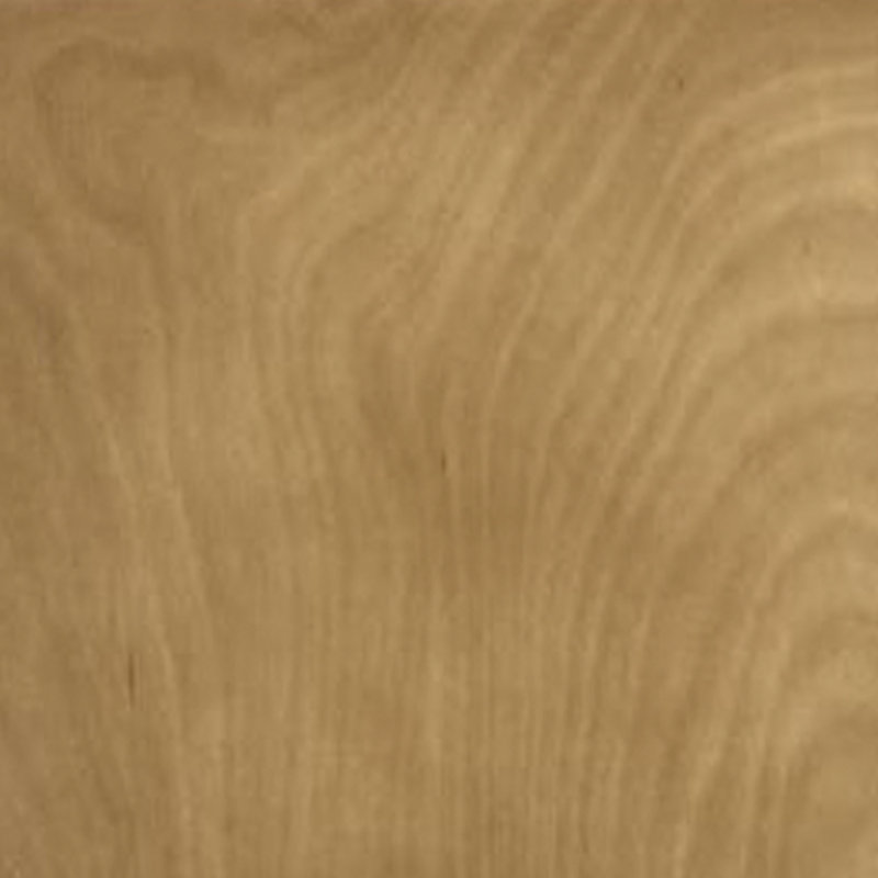 Brookings 60 Inch Modern Birch Double Bathroom Vanity
