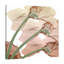 Peach Luster Cyclamen - Wrapped Canvas Print-342500630