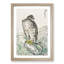 Japanese Golden Eagle by Numata Kashu - Framed Print-55770298-55770303