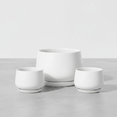 Ceramic Pot Planter