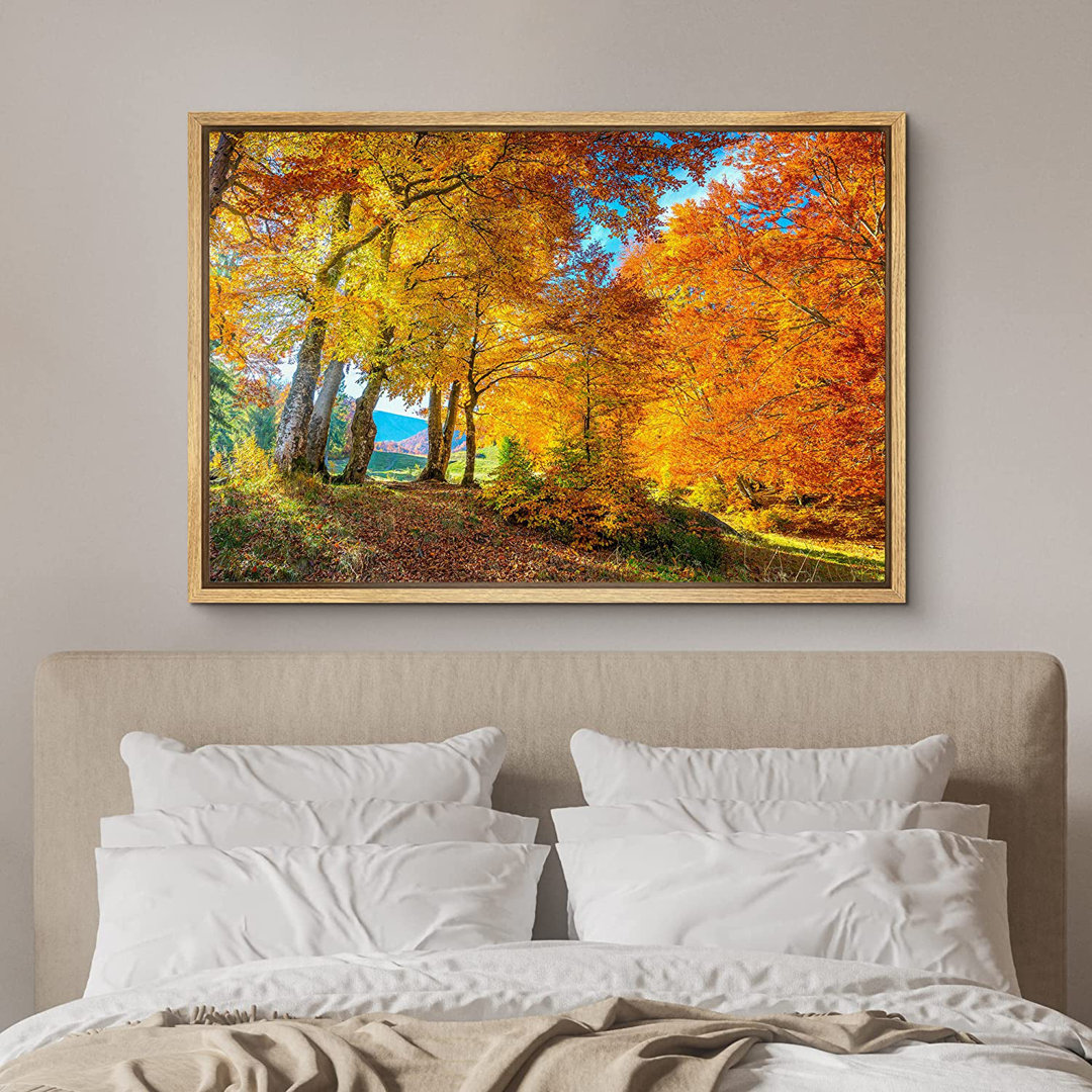 Autumn Fall Yellow Autumn Tree Forest Nature Landscape Fall Pictures Framed On Canvas Print Wall Art IDEA4WALL 