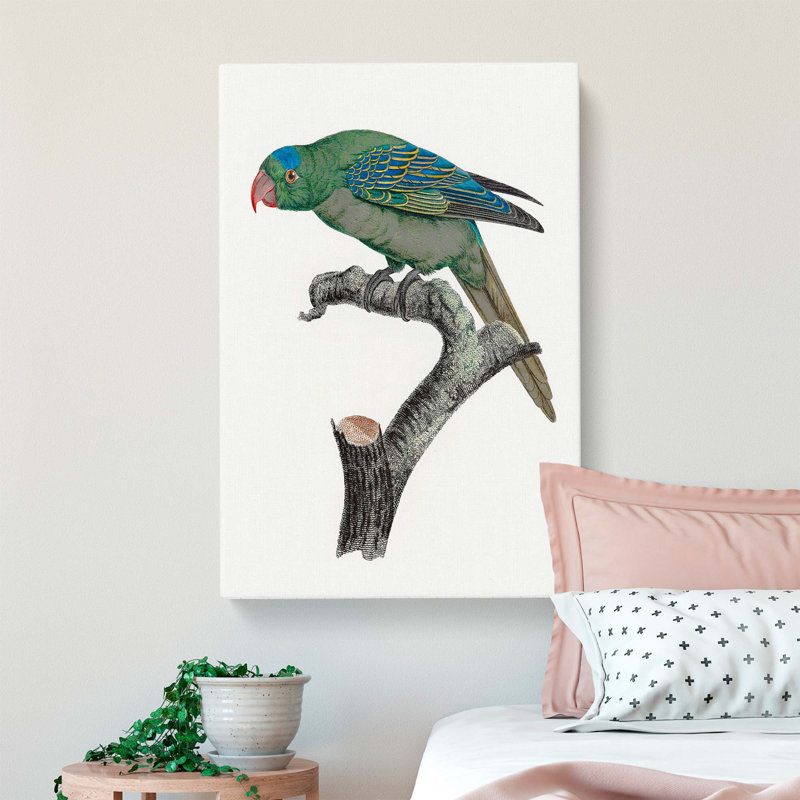 Blue-Naped Parrot by F. Levaillant - Wrapped Canvas, 76cm H x 50cm W x 3cm D