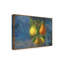 « poiriers fruit series », reproduction de photo sur toile tendue-32709544