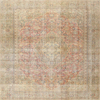Oriental Indoor Rug