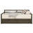 Annaya Daybed with Trundle in Gray
