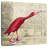 Ketti Bird Shoes I-109209443