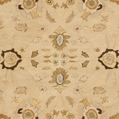 Groton Wool Pile Oriental Rug