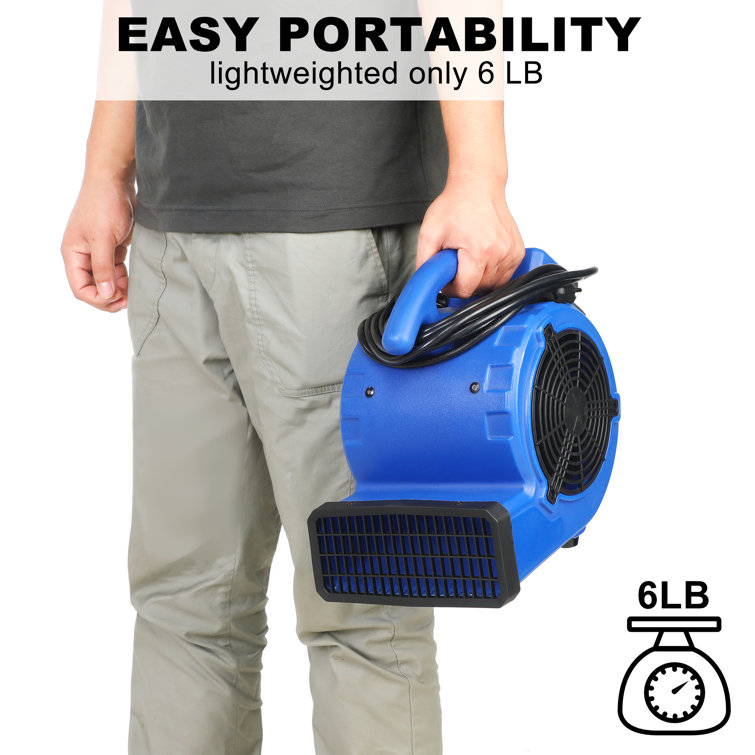 dubbin Air Mover, 305 CFM Mini Floor Blower Fan for Water Damage, Blue, 12  inch