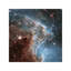 NGC 2174 (Monkey Head Nebula) (Hubble Space Telescope 24th Anniversary Image) 1 Piece Wrapped Canvas Wall Art-49994220