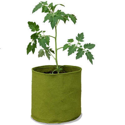 Arionah Pot Planter