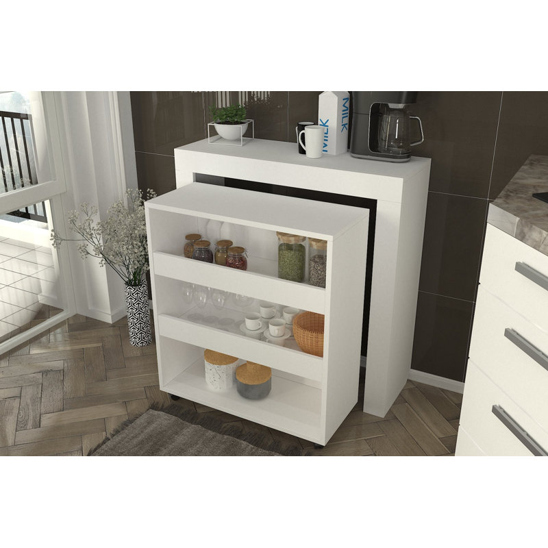 Miguell Multi Purpose Cabinet