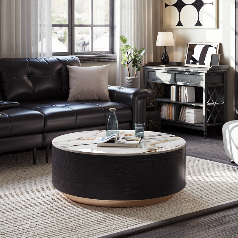 Drum Coffee Table, Sintered Stone Top, 2 Solid Wood Drawers, Fully-Assembled, 14.17" H x 39.37" L 39.37" W, Black