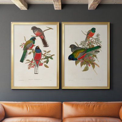" Elegant Trogons IX " 2 - Pieces Painting Print