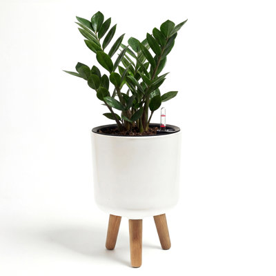 Indicateur de niveau d'eau pour pot à plantes