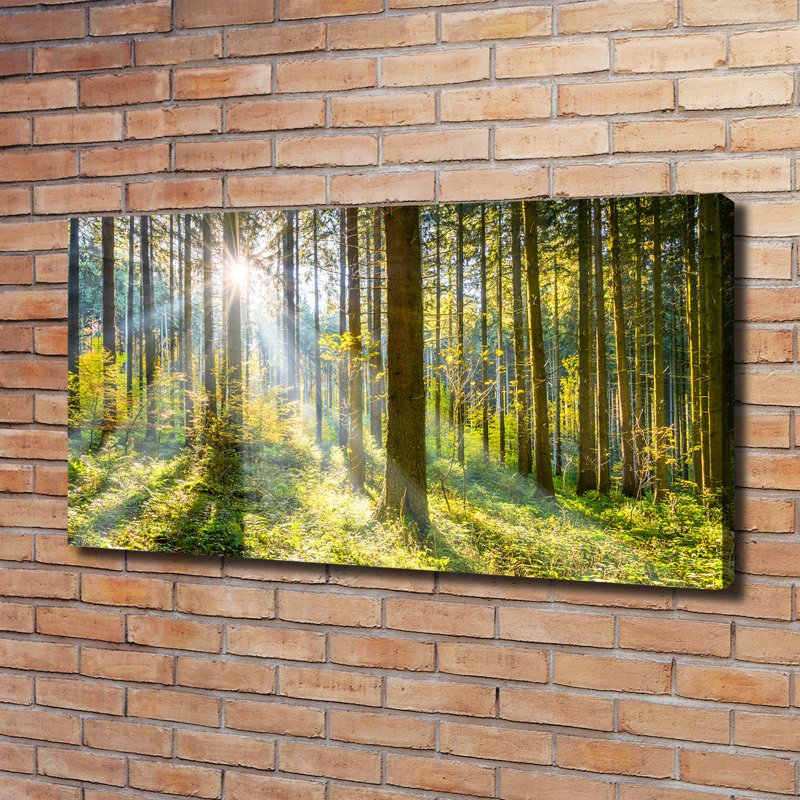 Forest In The Sun - Wrapped Canvas Print