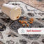 Tapis lavable à la machine Evelina-798534478