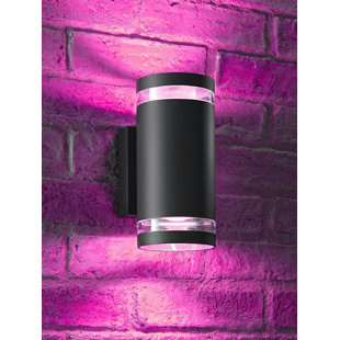 Anthracite Grey 2 - Bulb 54.86cm H Outdoor Wall Lantern