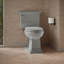 Memoirs® Stately Comfort Height 1.28 GPF Elongated Two-Piece Toilet-65045841-10978250
