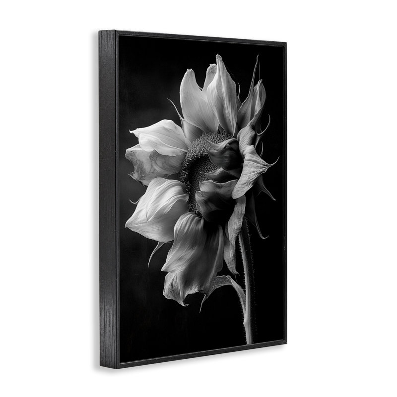 Giclée de tournesol Stark Contrast, conception par Annabelle Hall, H 18 po x l 12 po, Giclée encadrée noir minuit