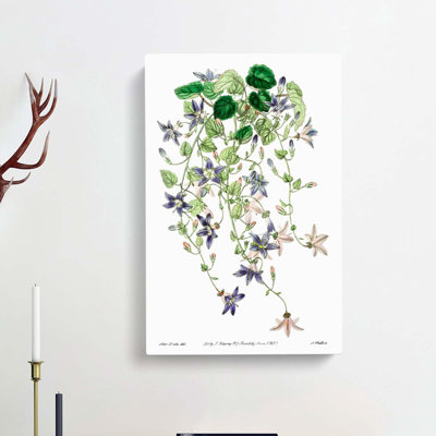 Adriatic Bellflowers - Wrapped Canvas
