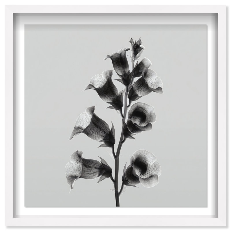 Ossified Petals I Shadowbox Floral & Botanical Print by Oliver Gal, Black Frame, 12 x 12, 25.5"H x 25.5"W, White Shadowbox