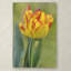 « rembrandt tulip », reproduction de photo sur toile tendue-32709264