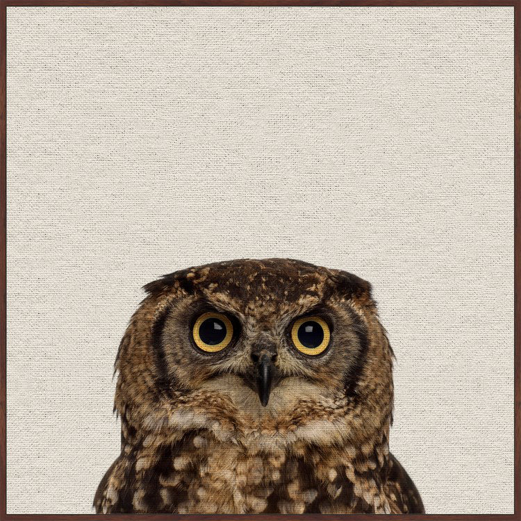 Those Big Eyes II - Floater Frame Print on Canvas, 41cm H x 41cm W 