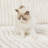 Soft Plush Upholstery Storage Couch Sofa Bed Convertible Modular Sectional Sofa-11037125